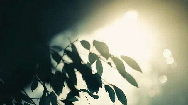 Green leaves on a branch silhouetted against warm, diffuse sunlight, creating a soft bokeh background that suggests renewal, tranquility, and gentle seasonal light