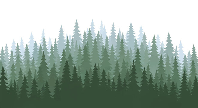 Serene forest landscape with dense foliage and towering trees viewed from a distance