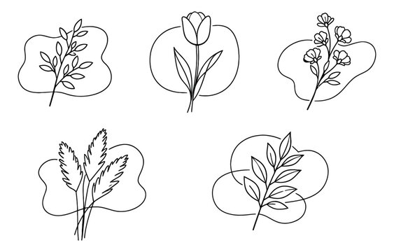 Hand drawn line art botanical set featuring flowers, leaves, and pampas grass for aesthetic design