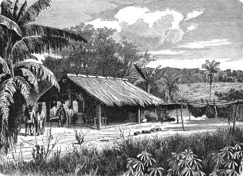 A traditional indigenous wooden house with thatched roof in Paraguayan landscape, showing Guarani architecture and subtropical settlement adaptation, old vintage illustration, 1899.