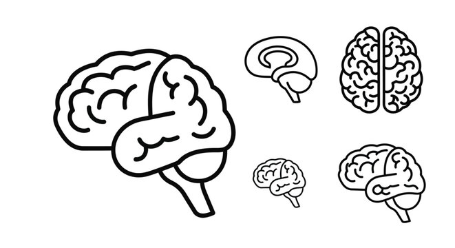 Illustration of human brains in various sizes black outline silhouette