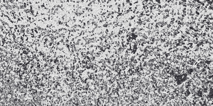 Dense monochrome abstract background with a highly textured, speckled surface resembling porous rock or a heavily corroded metal with irregular dark spots