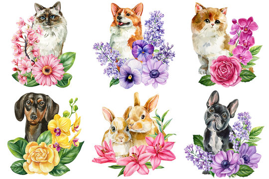 Pet portraits watercolor set with cat dogs rabbits and floral bouquets orchids rose lilac cherry blossoms isolated on white