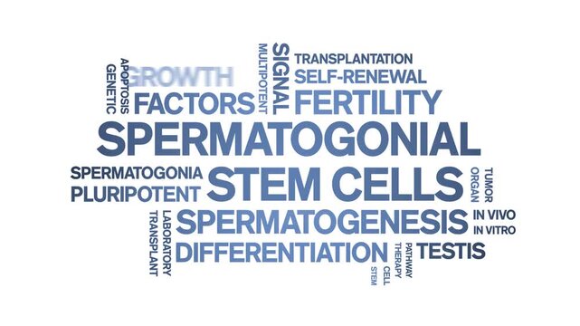 Spermatogonial Stem Cells animated word cloud-gross domestic product animation tag kinetic typography seamless loop.
