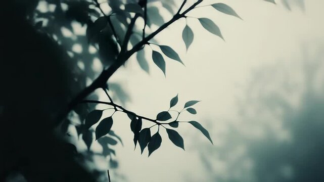 Branches with delicate green leaves standing against a soft, out of focus background, creating a tranquil and atmospheric scene with ample room for text or graphics