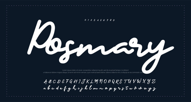 Elegant Script Font Alphabet Typography 