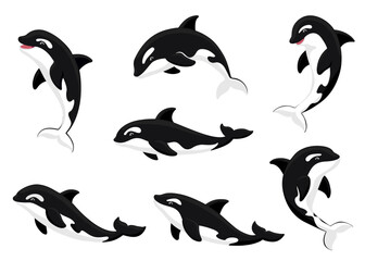 Cute cartoon orca collection. Flat vector illustration set of killer whales jumping, swimming, smiling in various poses. Happy playful orcas isolated on white. Marine wildlife artwork. © Karina