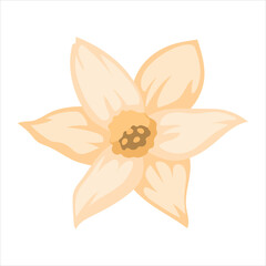 Simple beige flower blossom illustration Vector