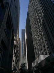 Obraz premium 都会の街並みを彩る建築物の直線的なフォルムと光が作る陰影