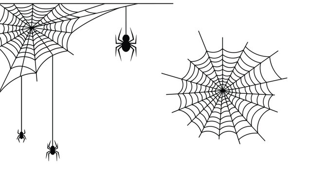 Spooky halloween illustration featuring black spiders hanging from intricate spider webs in a corner and a full web on the side.