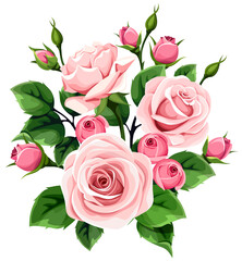 Pink roses bouquet. Pink rose flowers and buds and green leaves isolated on a white background. Vector illustration