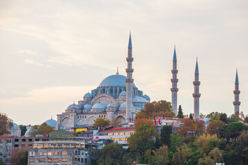 Fototapeta premium The Suleymaniye Mosque on a cloudy morning.
