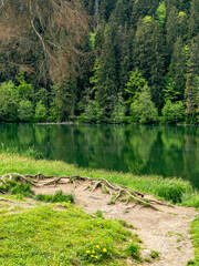Red Lake surrounded by forest in Eastern Carpathians, Romania