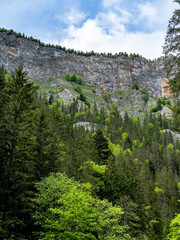 Forest and limestone cliffs in Bicaz Gorges, Romania