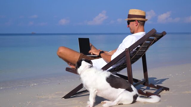 Young freelancer using a laptop computer while sitting on a beach lounge chair with his dog by his side, representing a digital nomad lifestyle and remote work freedom on a tropical getaway