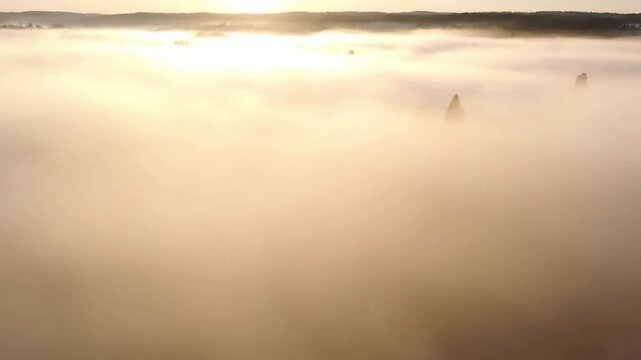 Tranquil Minimalism A clean, uncluttered natural environment at dawn, completely enveloped in dense, bright fog, emphasizing serenity and simplicity.