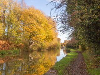 Obraz premium Beautiful Autumn colours along the Trent and Mersey canal, Cheshire, UK