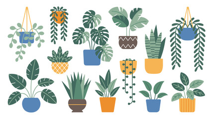 Collection of indoor plants including monstera and fiddle leaf fig in modern pots arranged in a grid style