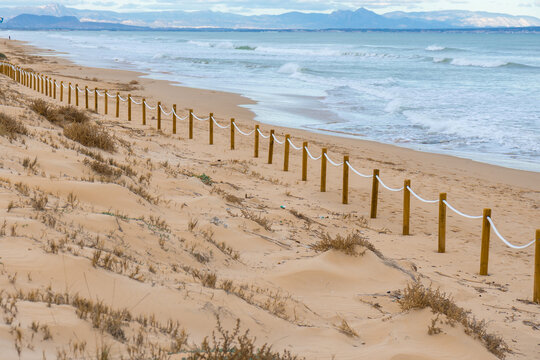 Protected dunes at El Moncayo Beach in Guardamar del Segura, Spain, fine sand. Wooden walkways and rope fencing guide visitors, prevent erosion, and protect fragile coastal ecosystems
