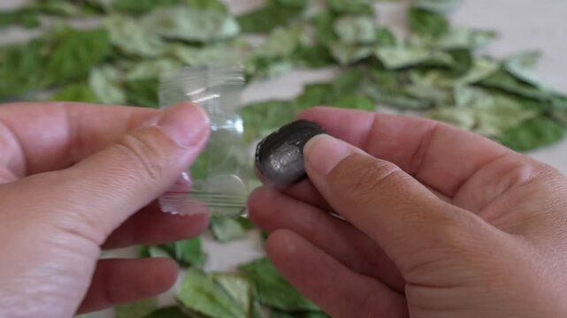 Detailed shot of hands opening a coca candy, with a backdrop of dried coca leaves, known for their traditional use in treating altitude sickness in the andean region
