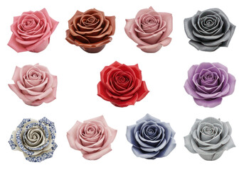 Collection of Twelve Assorted Glitter Roses in Various Colors Including Pink Brown Silver Red Purple Blue Isolated Transparent Background