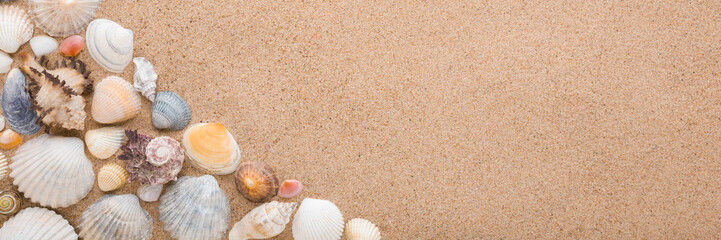 Beautiful colorful sea shells on light brown dry sand background. Closeup. Wide banner. Empty place for text. Top down view. © fotoduets