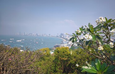Scenic Pattaya Coastline with Temple Flowers in Thailand