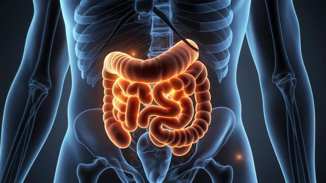 Explore gut microbiome bacteria glowing in intestines through abstract animation for a better understanding of health