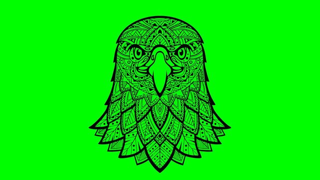 Eagle head zentangle stylized, freehand pencil, ink, hand drawn, pattern. Zen art. Ornate. Lace. Black and white image. Eagle head front mandala zentangle coloring. 2d flat animation. Alpha channel