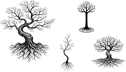 Bare tree silhouettes with twisted trunks and exposed roots black vector illustration set mystical nature design art collection elements © MstBabli