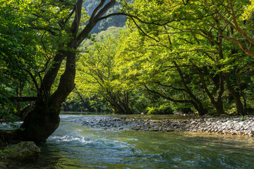 Fototapeta premium Idyllic Voidomatis River in Epirus, Greece – Rafting, Stone Bridges and Pristine Nature
