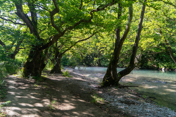 Obraz premium Voidomatis River, Greece – Crystal Clear Waters in the Heart of Vikos‑Aoös National Park