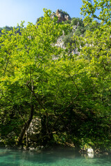 Fototapeta premium Rafting Adventure on the Voidomatis River – Scenic Waterways and Epic Nature in Greece