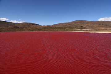 The Red Lagoon in northern Chile