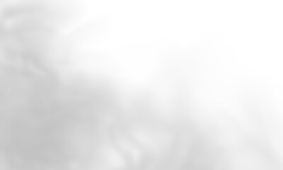 Obraz premium Soft white smoke spreads gently across transparent canvas. Airy textures and smooth gradients enhance cinematic feel. Perfect for posters, digital art, and overlays. PNG