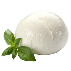 Buffalo mozzarella cheese isolated on transparent background
