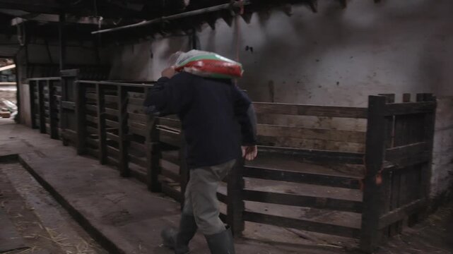 A farm worker walks through the barn carrying a bag of feed on his shoulder. The barn is busy with activity from tractors and farm equipment visible in the background.