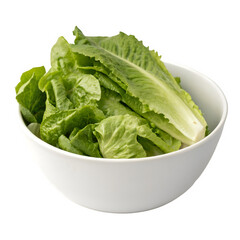 White bowl filled with fresh green lettuce isolated on transparent background