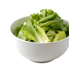 White bowl filled with fresh green lettuce isolated on transparent background