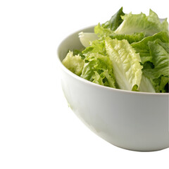 White bowl filled with fresh green lettuce isolated on transparent background