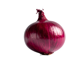A single, vibrant red onion with glossy skin against a black background