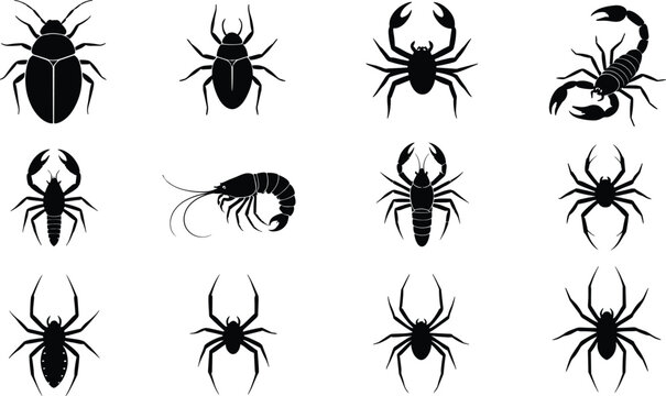 Insect and spider silhouette vector set with beetle scorpion centipede and arachnid shapes isolated on white for horror biology and icon designInsect and 