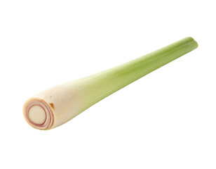 A single stalk of pale green lemongrass with a white base