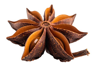 A single, dark brown, star-shaped spice with eight pointed segments