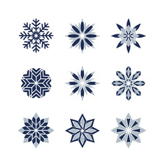Professional duotone graphic graphics showcasing nine abstract geometric winter bloom icons, including stylized snowflakes and crystallized floral patterns in Navy Blue and Light Grayish Blue