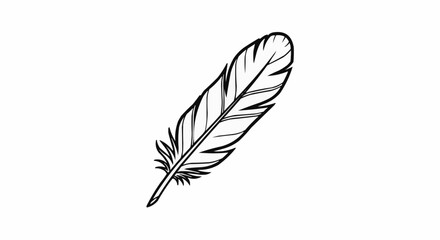 Obraz premium Single black and white feather illustration with detailed texture on plain