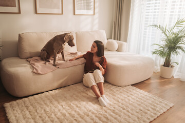 pet training session in cozy living space, woman helps dog practice jumping on sofa attentively