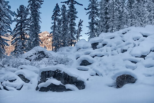 Russia, Teletskoye Lake. View of the snow-covered shore of the stone bay with huge rock fragments, which is always in the shade in the winter season.