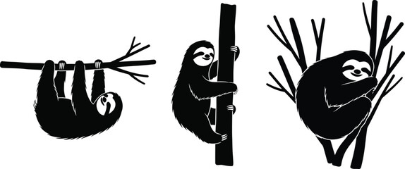 Obraz premium Relaxed Sloth Figures Hanging from Branches. Wildlife Illustration Trio for Nature and Calm Lifestyle Concepts. Slow Living Them