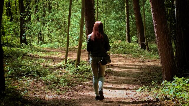 Woman walking through forest on sunlit dirt path among tall trees. Female strolling peacefully along woodland trail surrounded by greenery. Lady moving quietly on natural walkway with soft forest